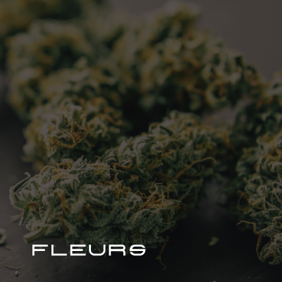 FLEURS